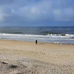 In * Westerland